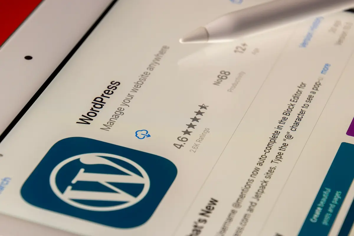 Can Replit Build a WordPress Plugin